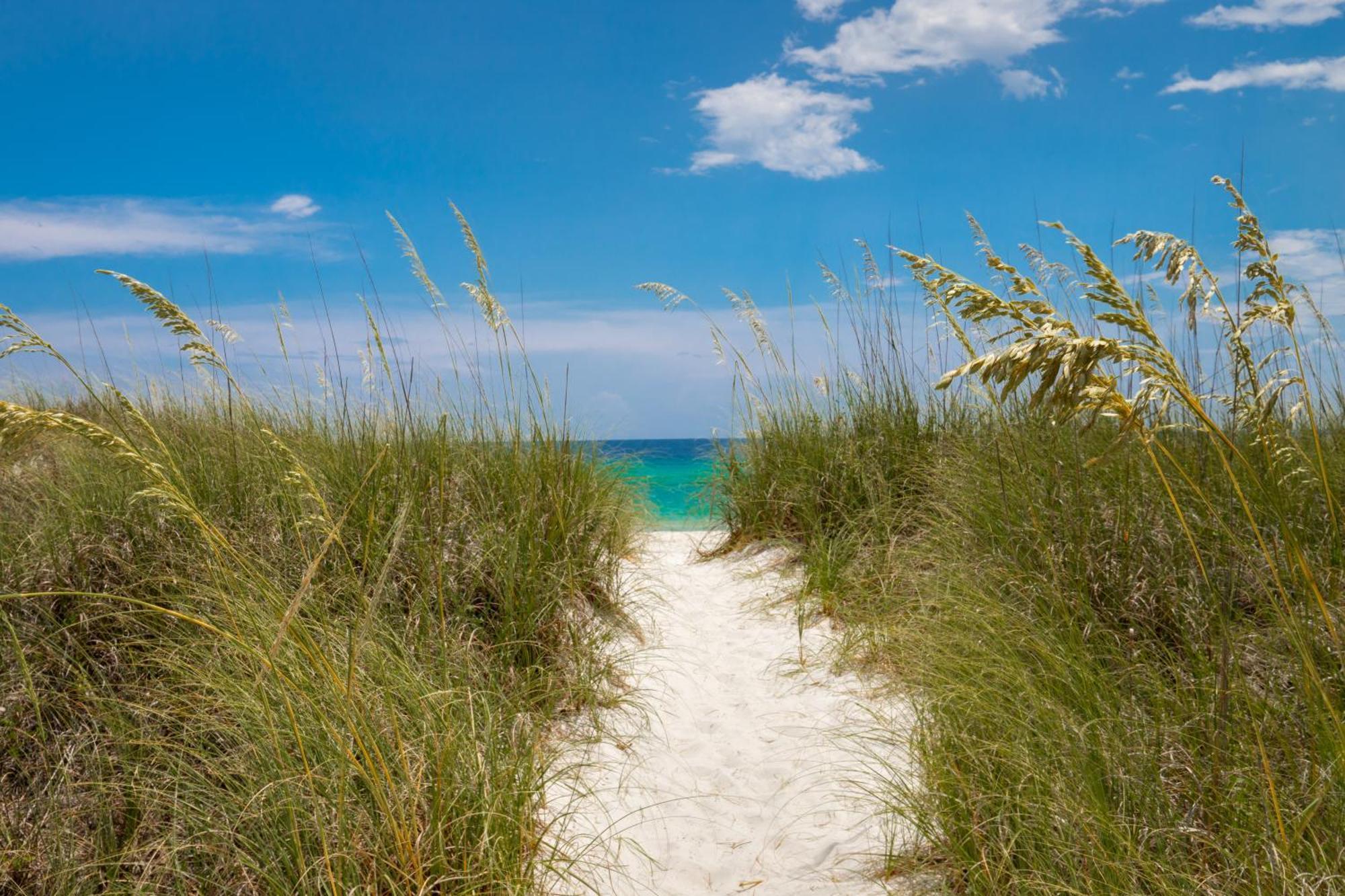 Remarkably Updated 3/2 In Seagrove Highlands - Gulf Views Sleeps 9! Santa Rosa Beach Dış mekan fotoğraf
